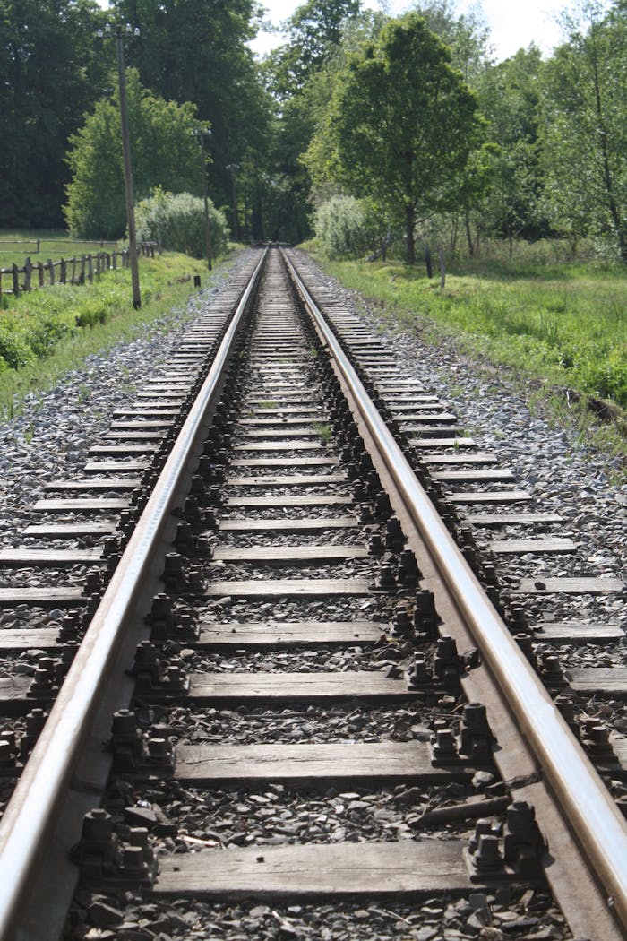 Capture of railway tracks stretching into a dense green forest, perfect for travel and nature themes.